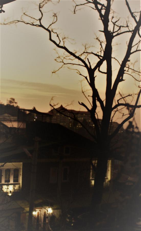 Prakash Cottage Шимла Экстерьер фото
